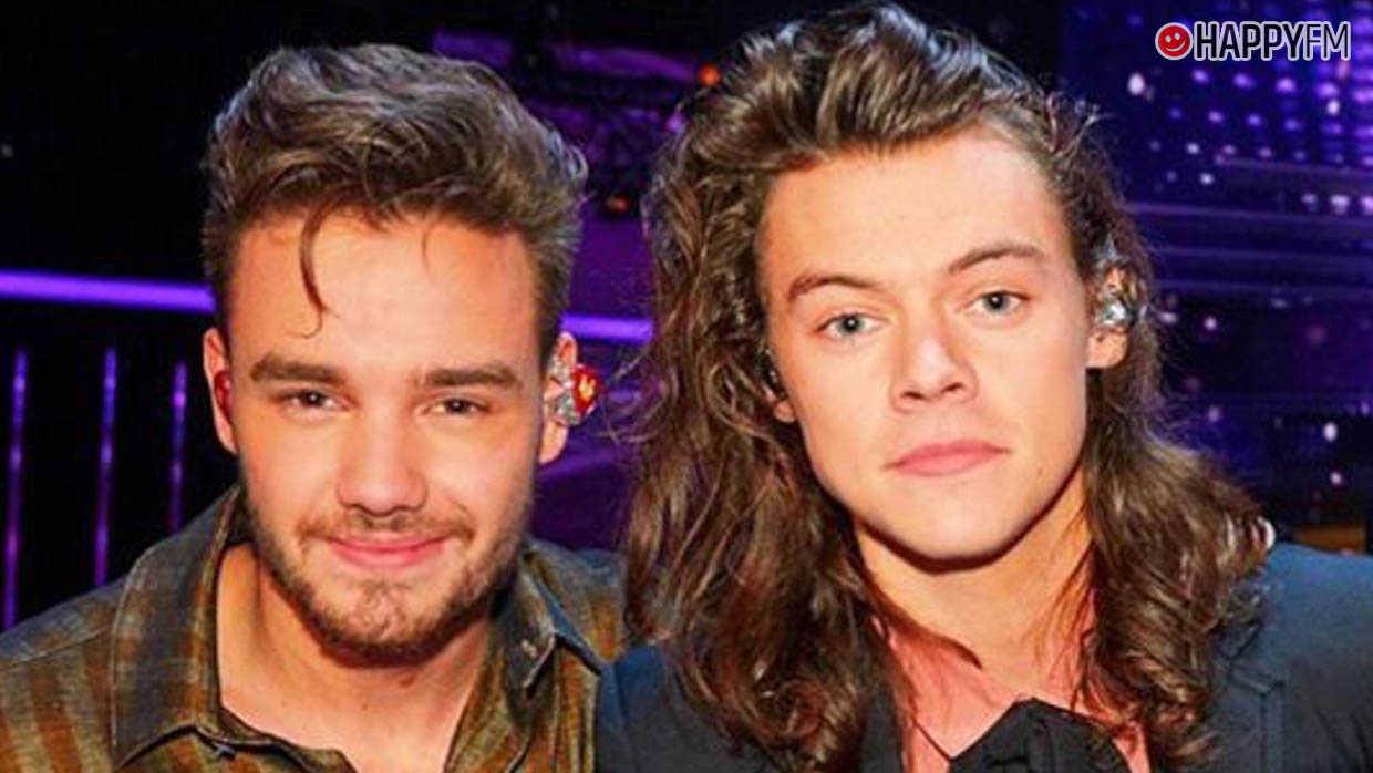 Harry Styles y Liam Payne