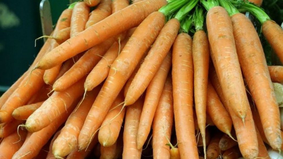 Descubre los alimentos que no nos harán engordar durante el verano