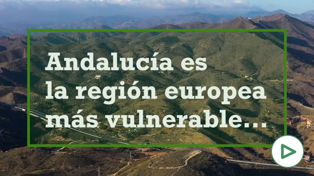 Vídeo: Junta de Andalucía