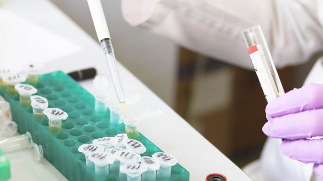 Brote del velatorio de Granada: sólo 8 positivos de las 525 pruebas PCR realizadas