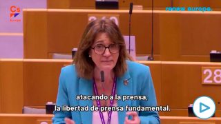 Ciudadanos