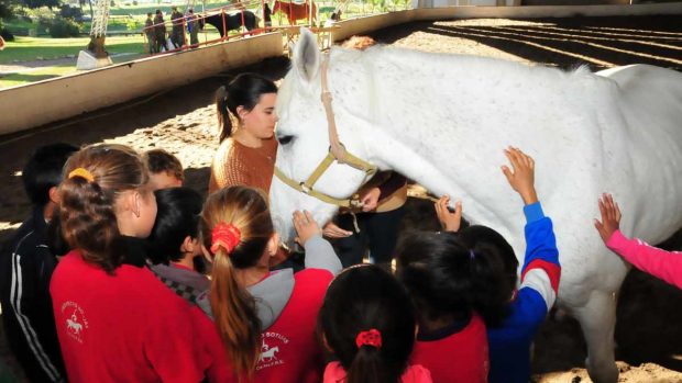 Equinoterapia con caballos