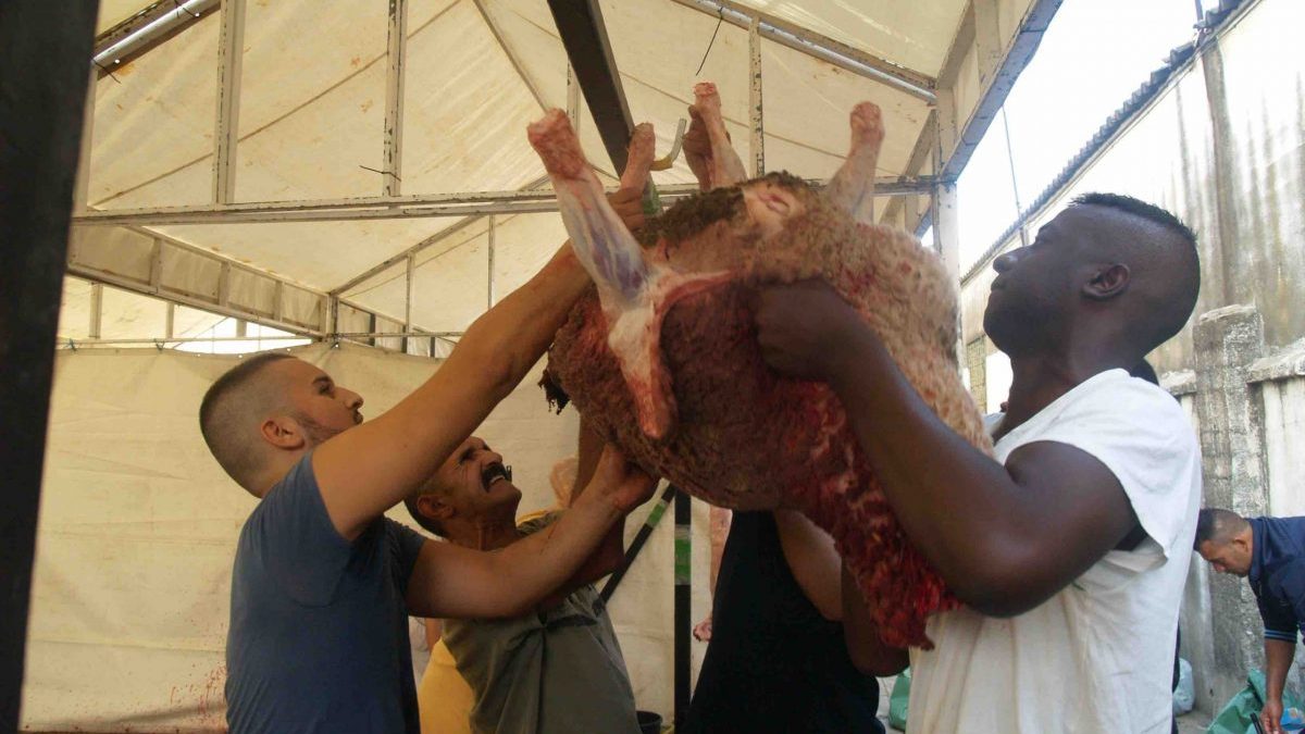 Los musulmanes de Ceuta exigen poder celebrar a fin de mes su Pascua del Sacrificio «como la matanza porcina»