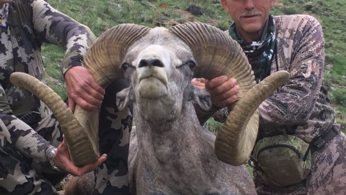 El cazador que mató al famoso león Cecil caza ahora a un carnero salvaje protegido