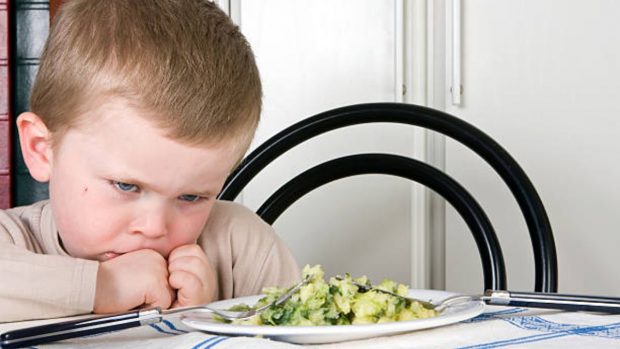 Niños que no quieren comer : 10 consejos efectivos para que coman