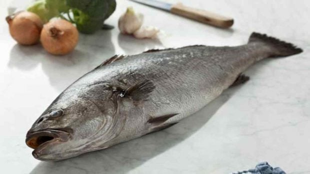 Cazuela de judías blancas con corvina