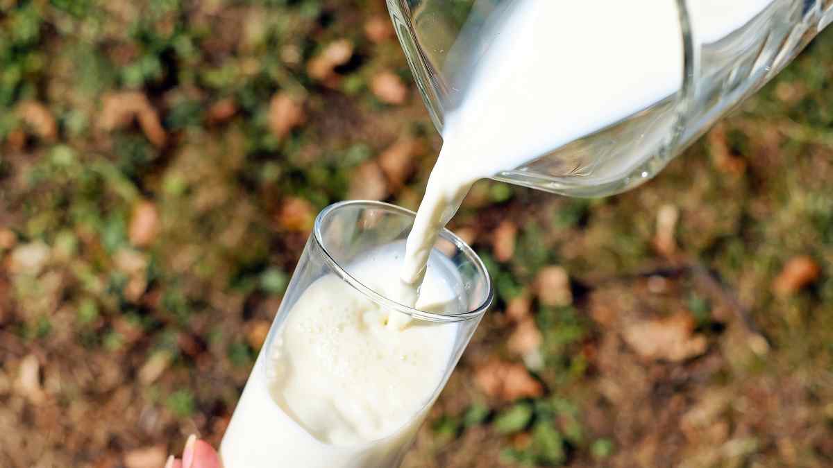 Alergia alimentaria a la leche