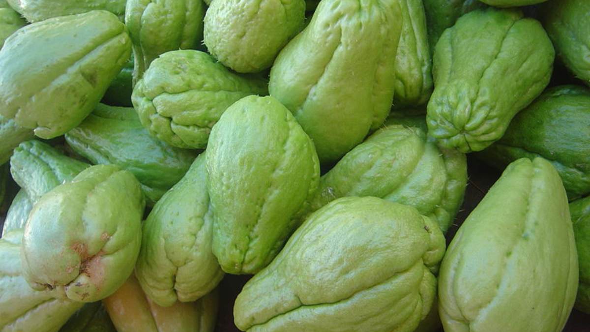 ¿Sabes lo que es el chayote?