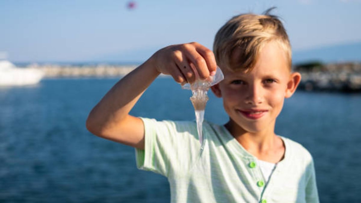 Cómo debemos actuar si una medusa pica a nuestro hijo o hija