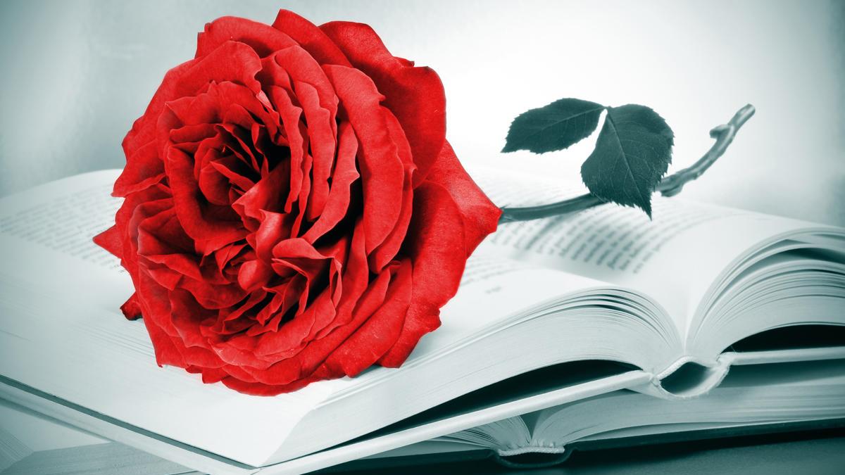 Una rosa roja y un libro son lo más tradicional en Sant Jordi