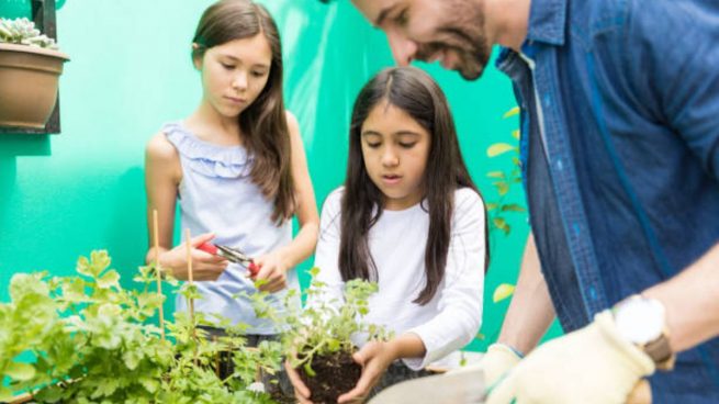 Cómo cultivar un huerto con los niños: juegos e ideas