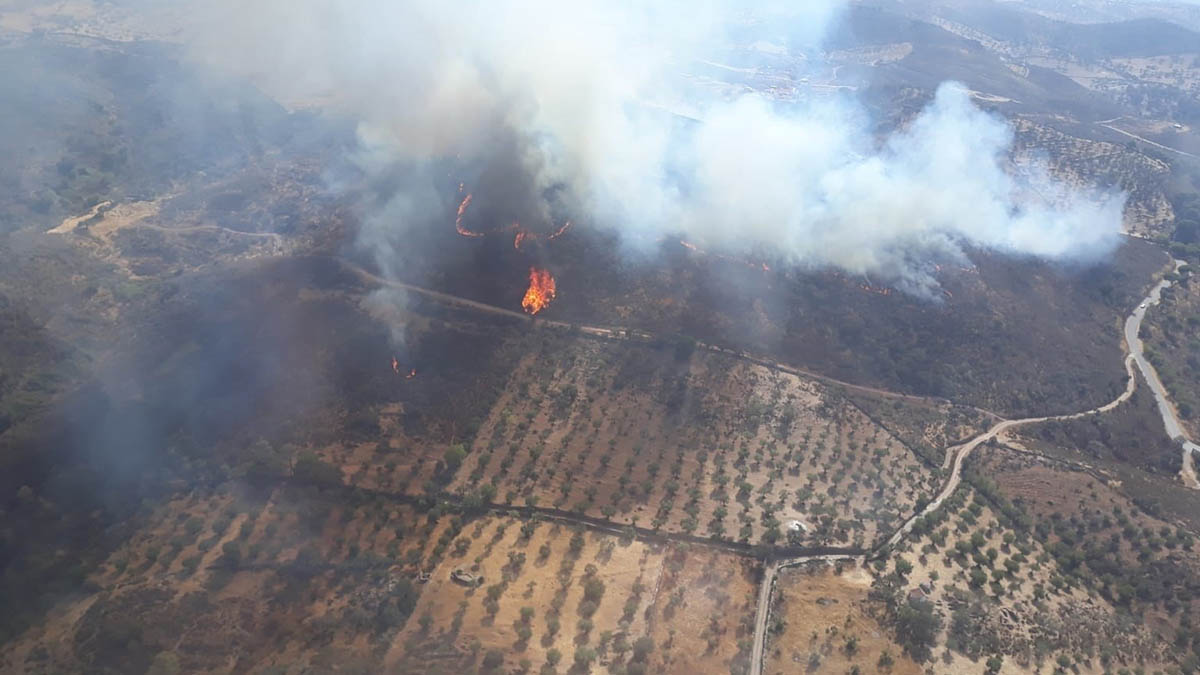 El Gobierno de Portugal ha decidido decretar el estado de alerta en todo su territorio durante el lunes y el martes debido al desarrollo de incendios.