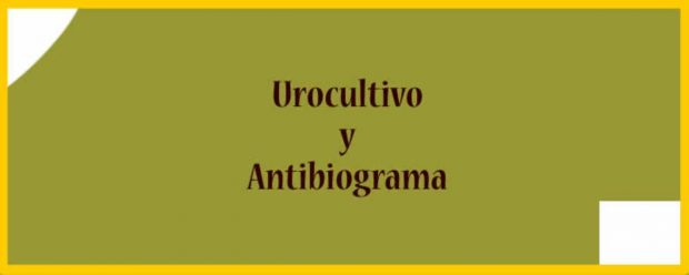 Antibiograma