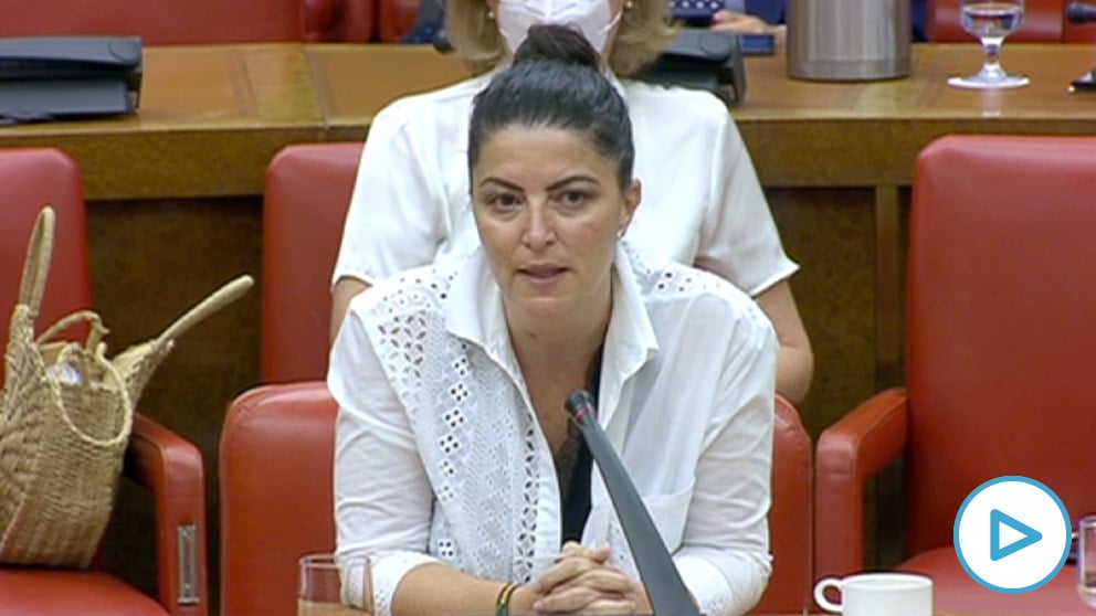 Macarena Olona (Vox), en el Congreso.