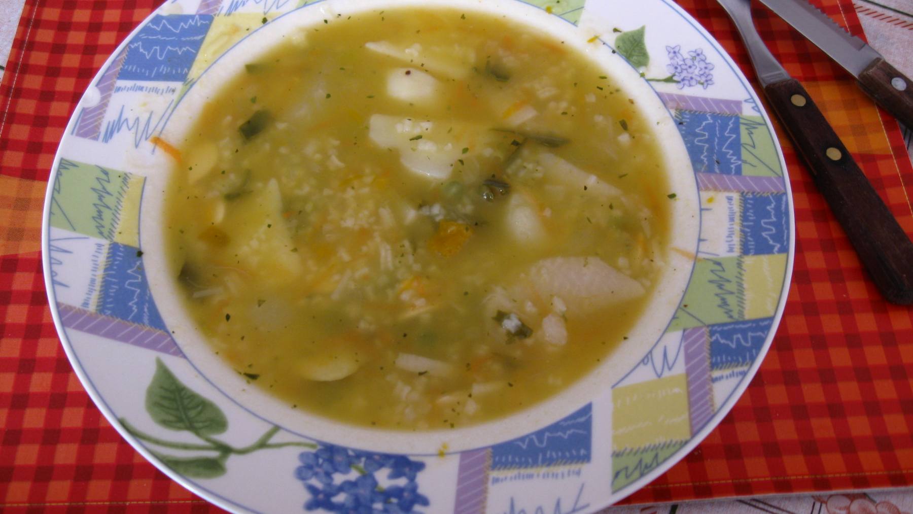 Sopa casera de arroz