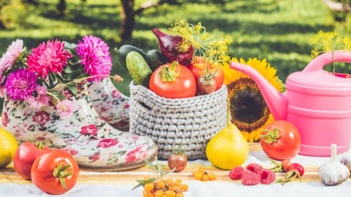 Descubre todas las frutas y verduras que puedes comer y cocinar durante este mes