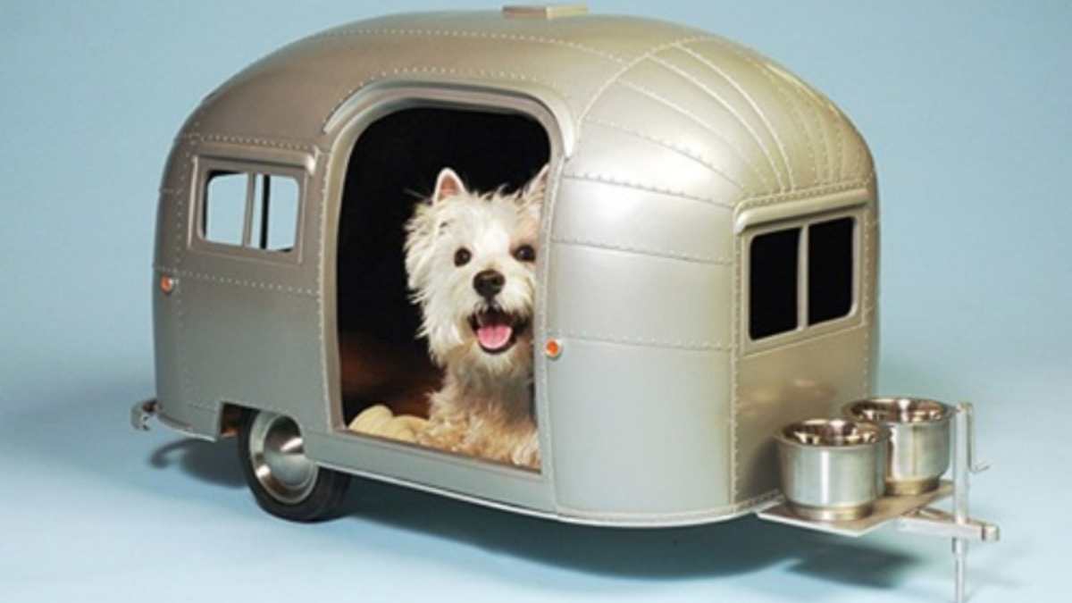 Autocaravanas: accesorios para viajar con tu perro - Autofácil