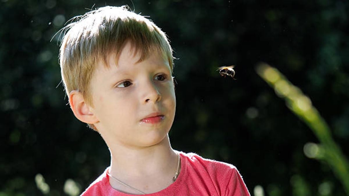 Cómo lidiar con el miedo de los niños a los insectos