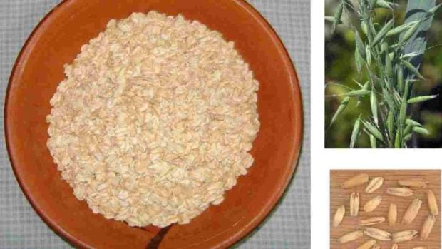 Galletas de avena rellenas de mermelada cruda