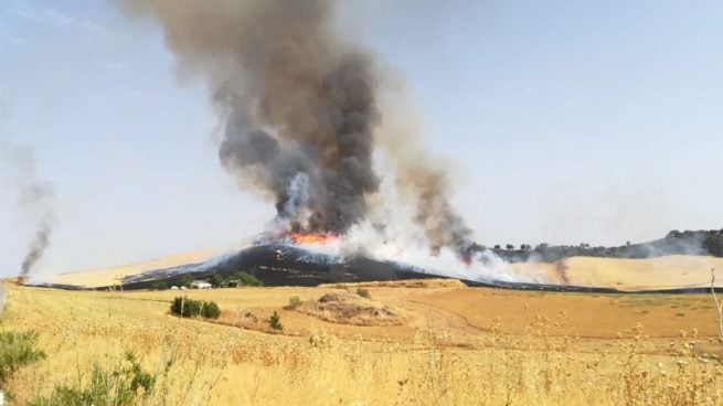 Desalojadas 70 personas de un camping de Málaga tras declararse un incendio