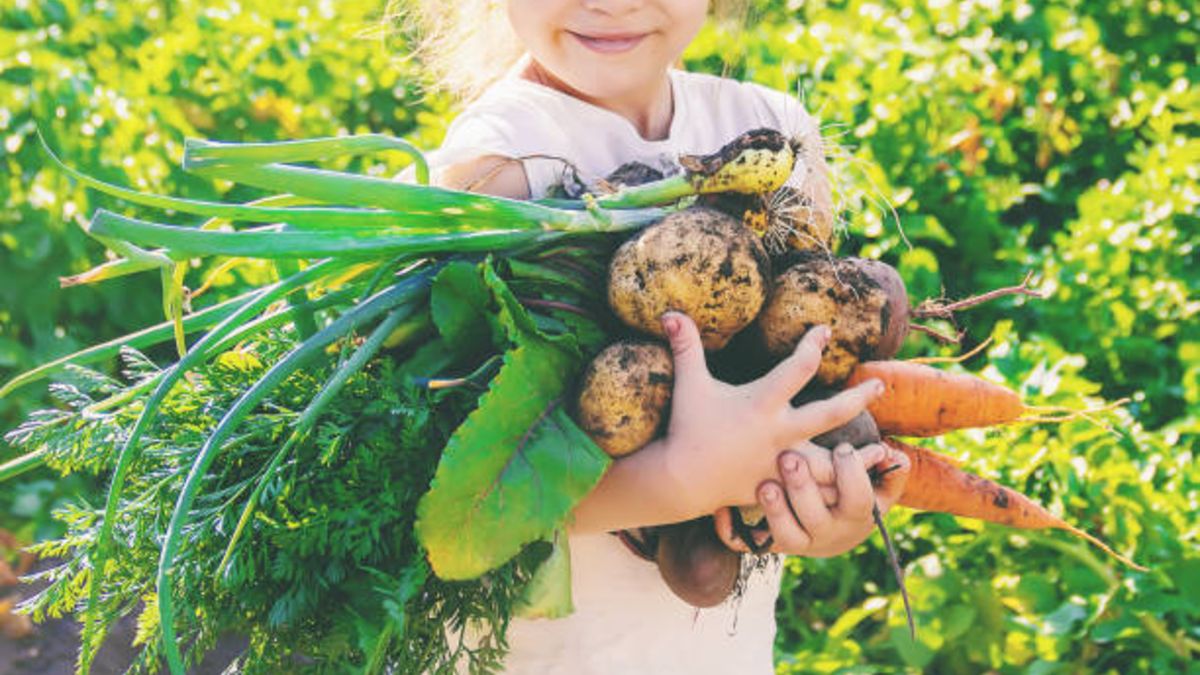 Cuáles son las mejores frutas y verduras que ofrecer a los niños en verano