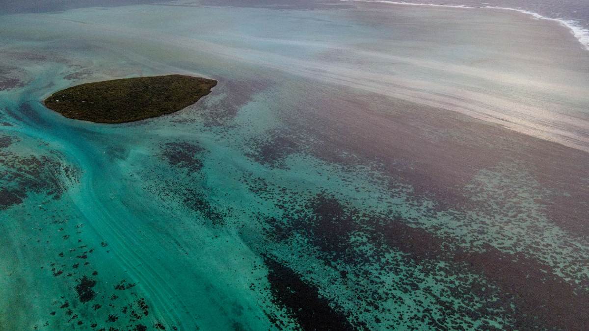 Vertido en la isla de Mauricio. Foto: AFP