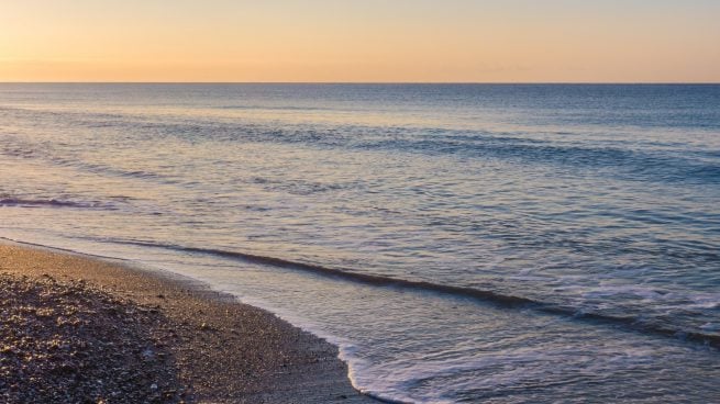 Desmantelan una fiesta ilegal de más de cien personas en la playa de Valdevaqueros