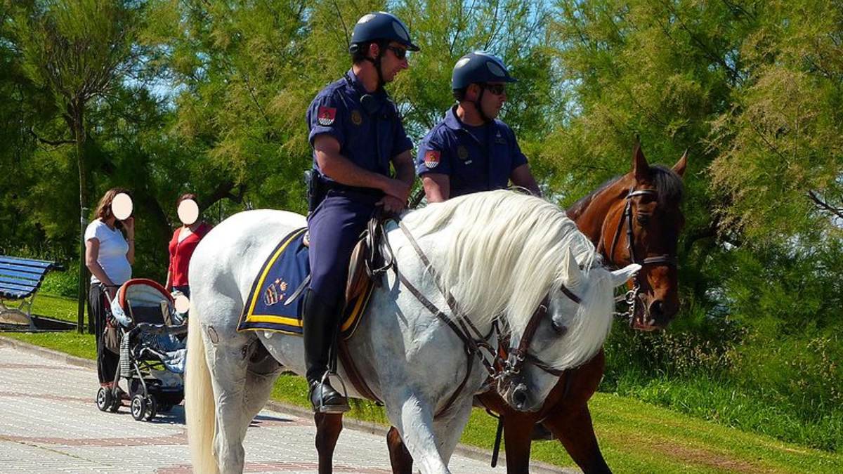 La policía detiene en Sevilla a un presunto autor de delitos de agresión sexual