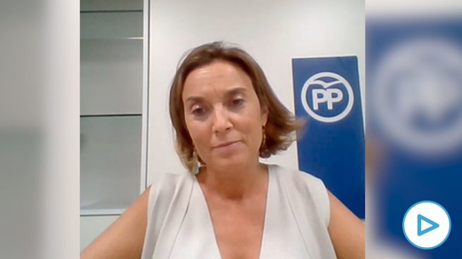 Ver vídeo