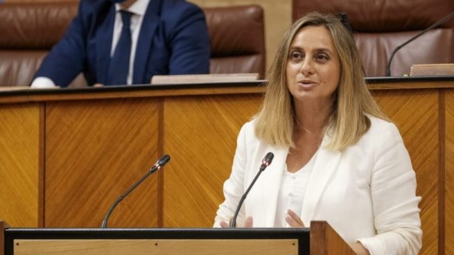 Andalucía se harta y exige a Sánchez un plan contra los okupas: «No puede mirar a otro lado»