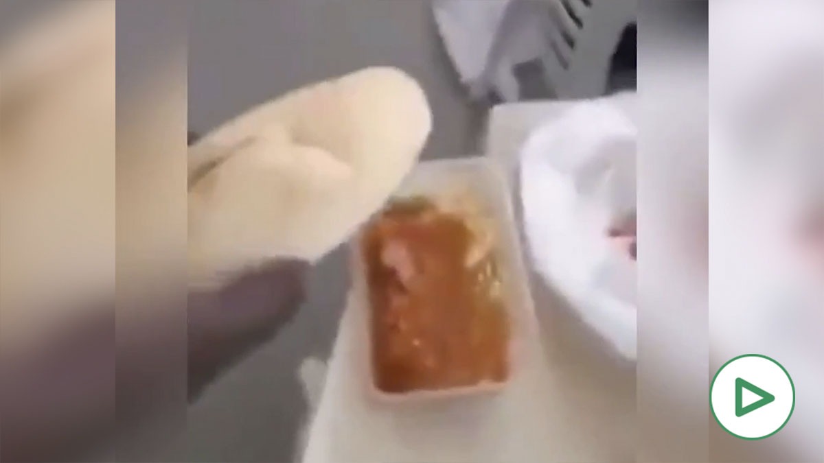 Los inmigrantes ilegales exigen «comida de africanos» cuando son acogidos en España: «No nos gusta el tomate».
