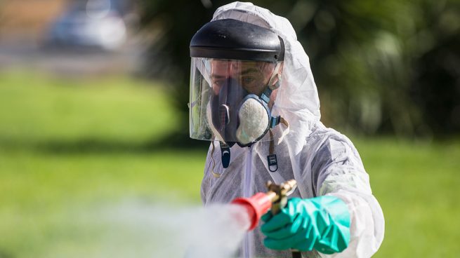 El virus del Nilo ya ha llegado a Sevilla capital y podría seguir propagándose