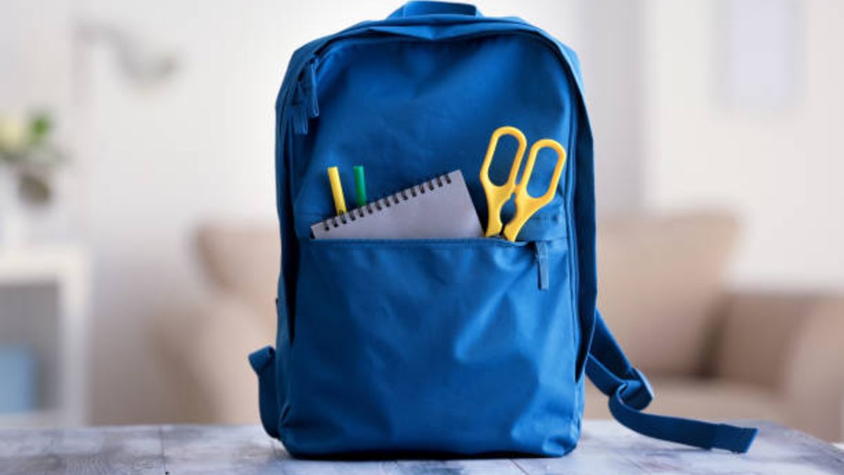 Cuáles son las mochilas ideales para ir a la escuela, trabajar y