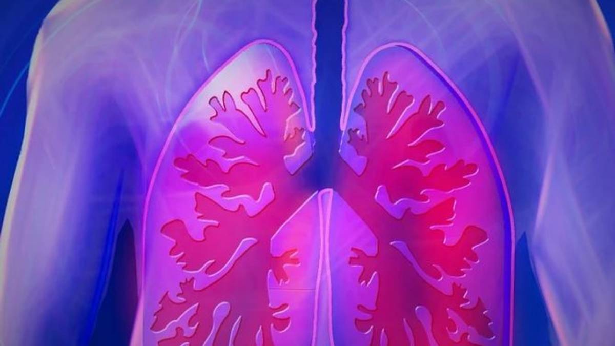 ¿Sabes que qué bacterias tenemos en los pulmones? no todas son malas
