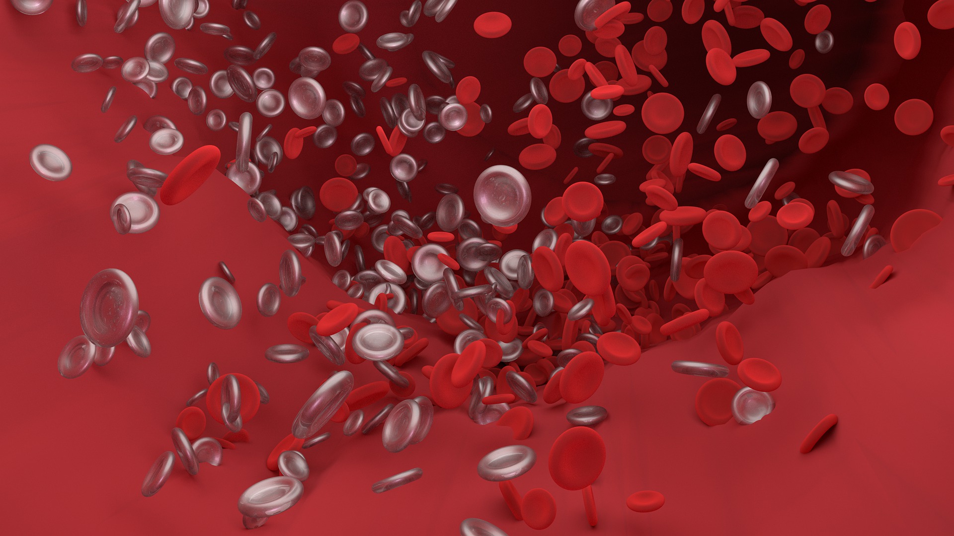 Cómo actúan los factores de coagulación de la sangre