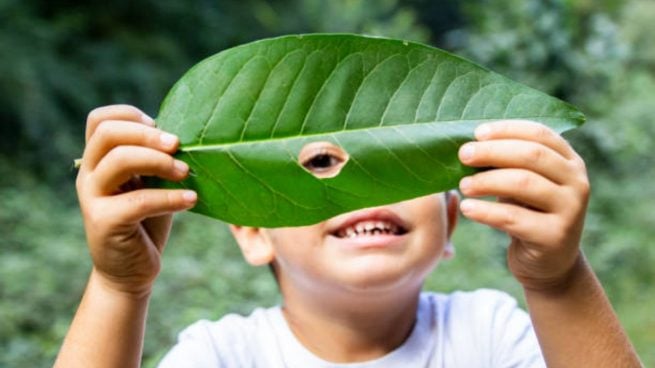 niños entornos verdes