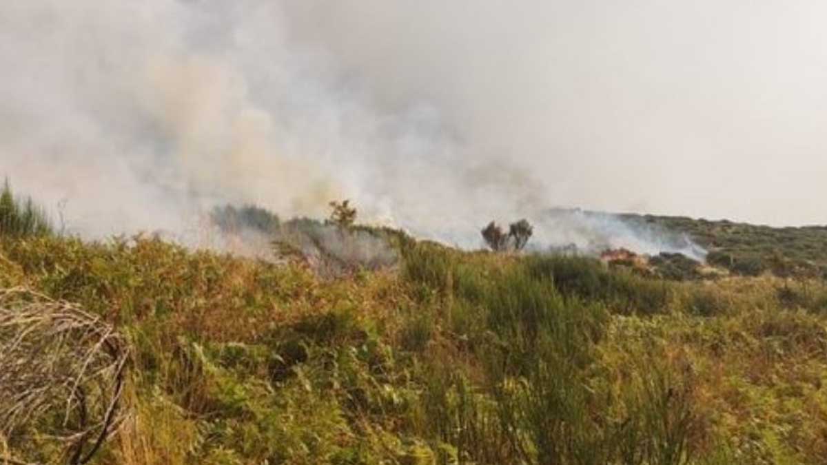 El incendio en el Valle del Jerte sigue activo con peligrosidad 2. Foto: Europa Press
