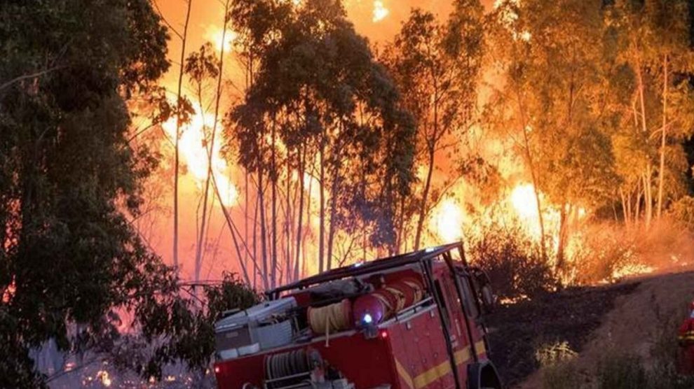 En libertad los presuntos autores del incendio de Estepona que calcinó negocios y hasta un centro comercial.