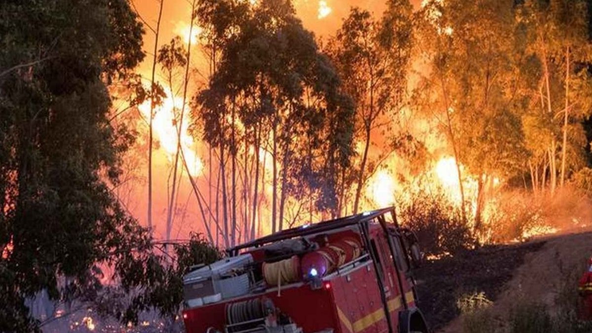 En libertad los presuntos autores del incendio de Estepona que calcinó negocios y hasta un centro comercial.