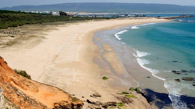 barbate