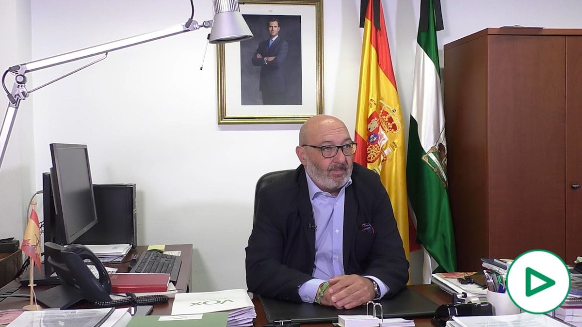 Alejandro Hernández, portavoz de Vox en el Parlamento de Andalucía.