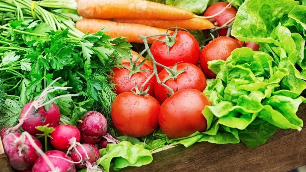 El sector agroalimentario andaluz bate récords de exportaciones.