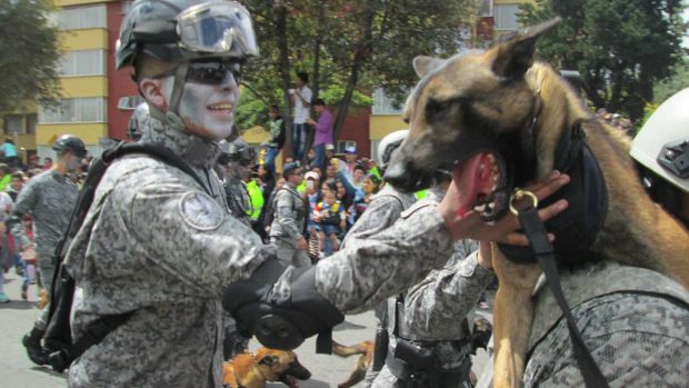 Perros en guerras mundiales