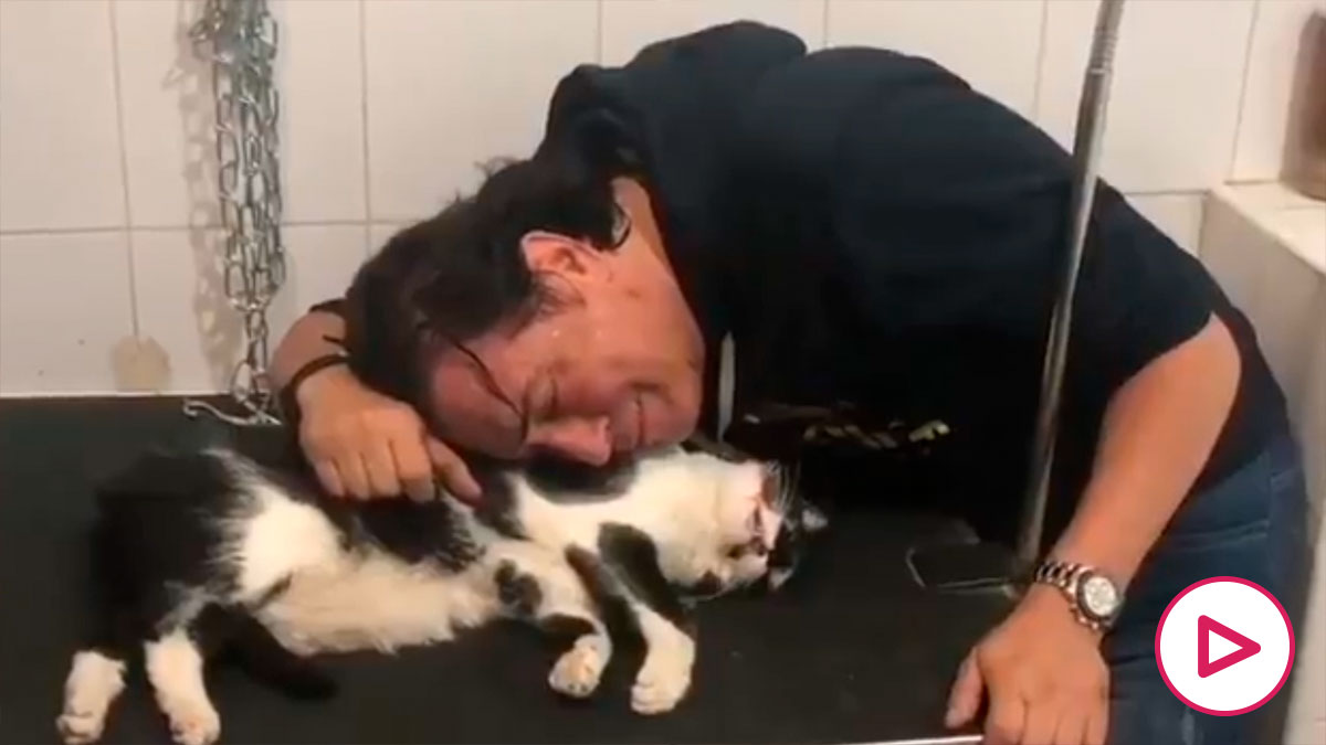 Ver vídeo