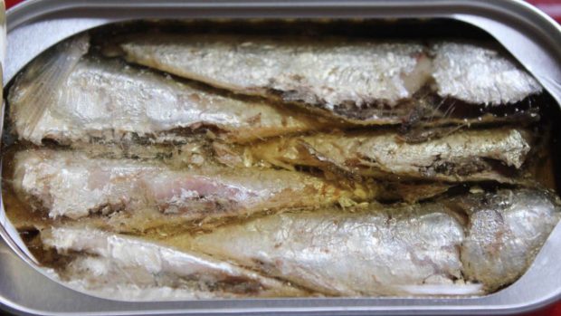 Paté de aceitunas y sardinas en el microondas