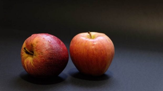 Cáscaras de manzana