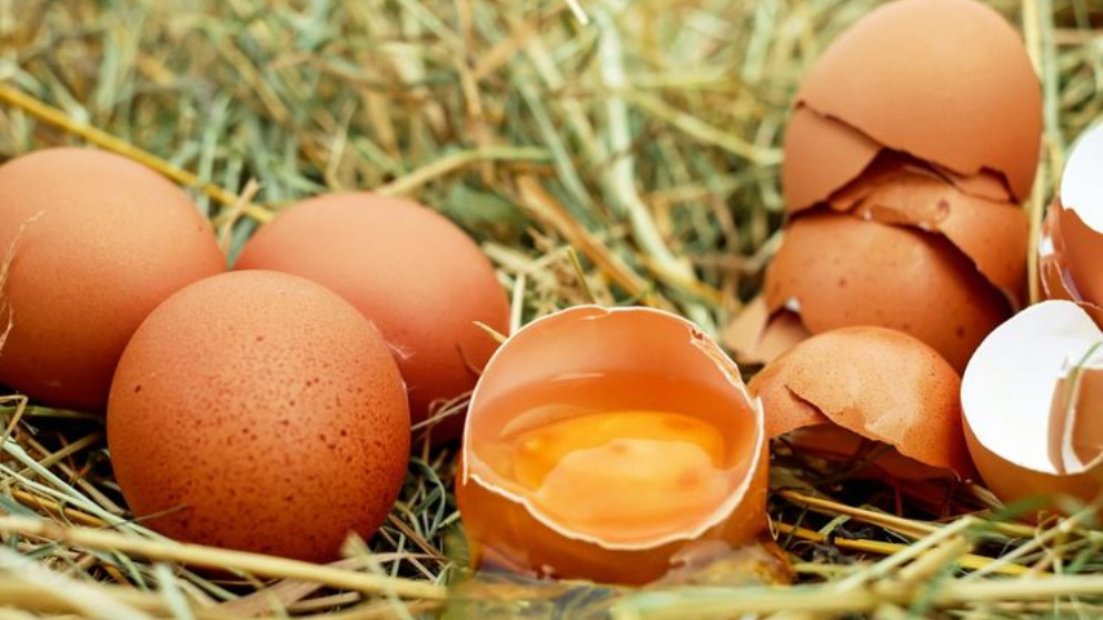 El truco definitivo para saber si un huevo está fresco