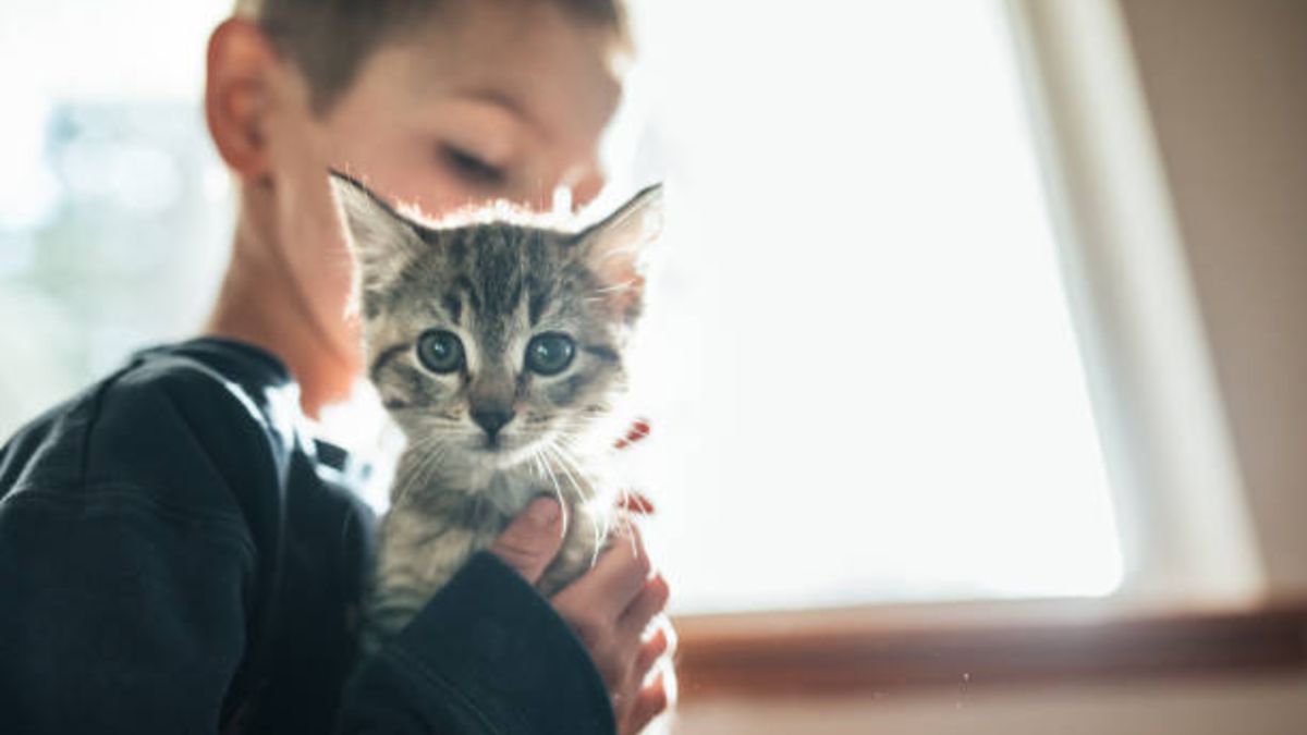 El estudio que revela que los niños con autismo prefieren a los gatos como mascota