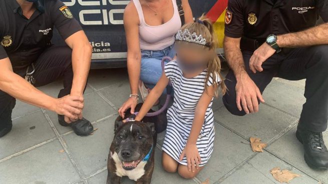 Detenido por arrastrar a un perro con su coche tras una discusión de tráfico con sus dueños