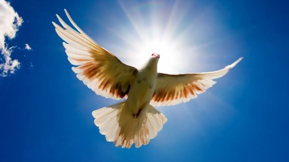 Día Internacional de la Paz